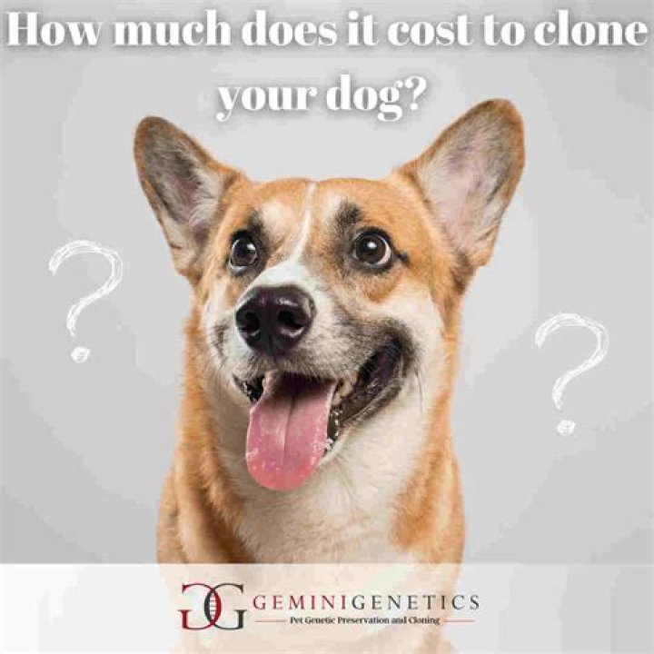 How much does it cost to chrome plate